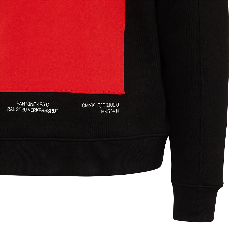 Kapuzenpullover Vereinsfarben - Image 4