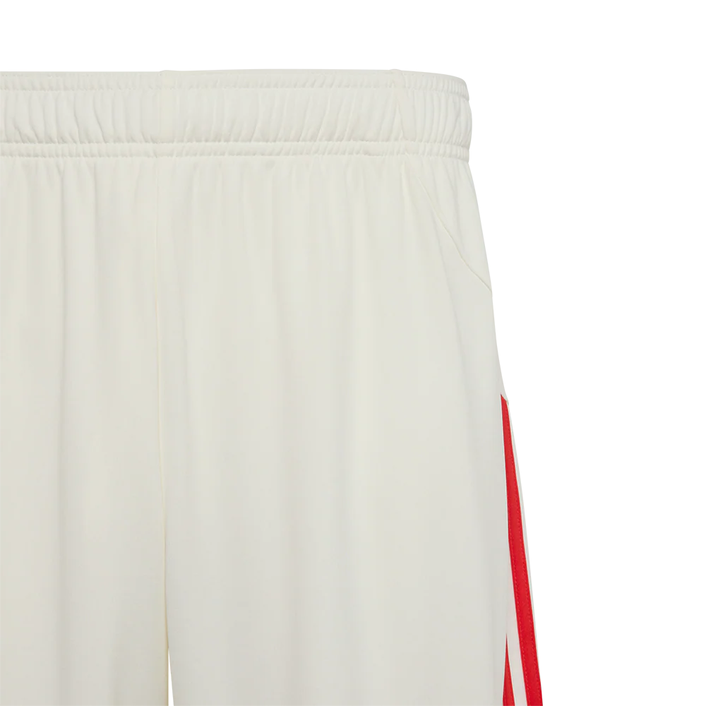 Sondertrikot Hose - 60 Jahre - Image 4
