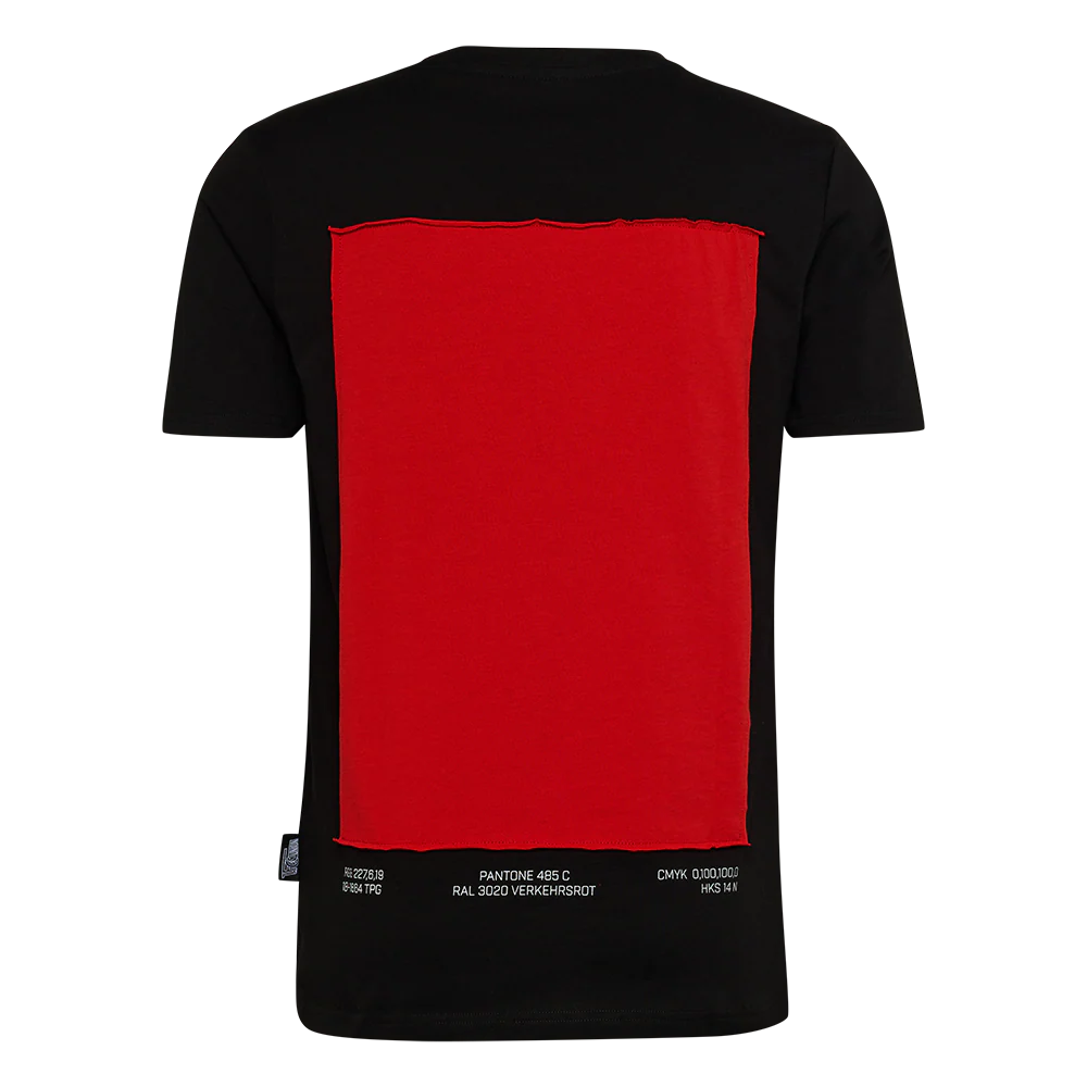 T-Shirt Vereinsfarben - Image 2
