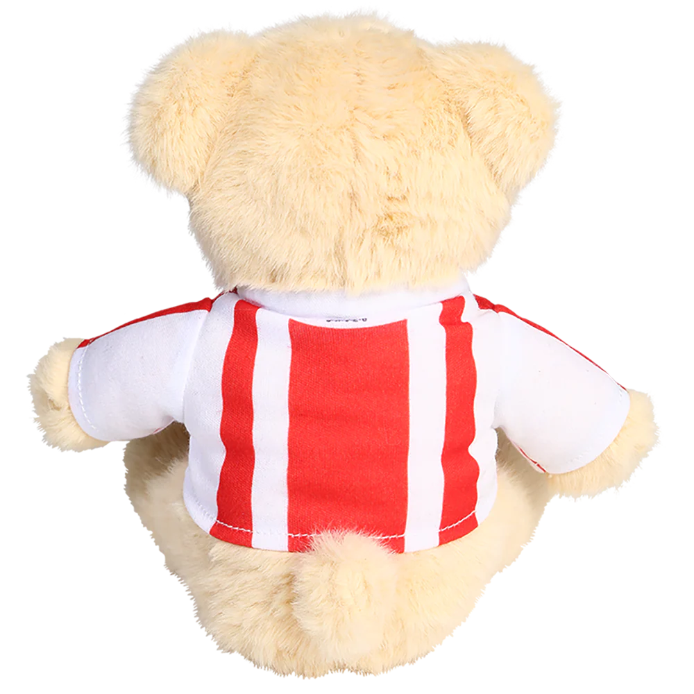 Teddy Retro - Trikot - Image 2